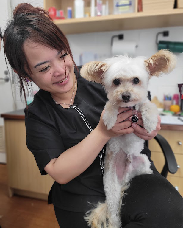 ring-v-ball-for-fetch-belvederes-pets