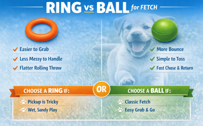 Dog Ring or Ball? Which Fetch Toy Wins?