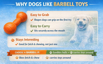 Why Dogs Like Barbell Toys