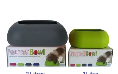 Feeding a dog with long ears: how to stop the mess (and the ear infections)