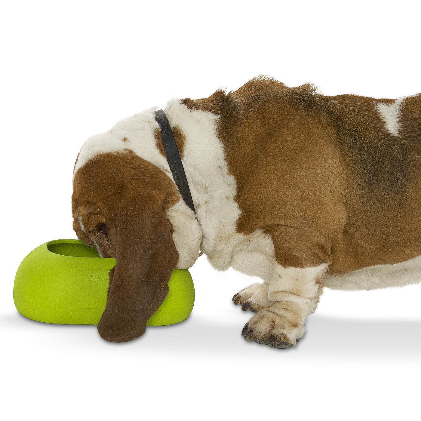 ring-v-ball-for-fetch-belvederes-pets