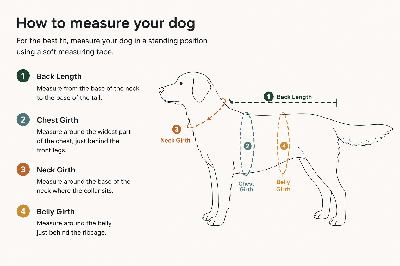 How to measure your dog